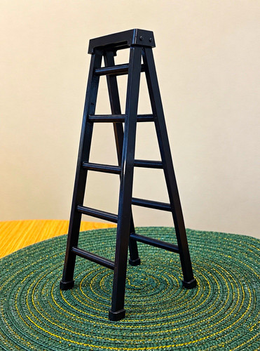 Wrestling high flyer ladder - wrestling,