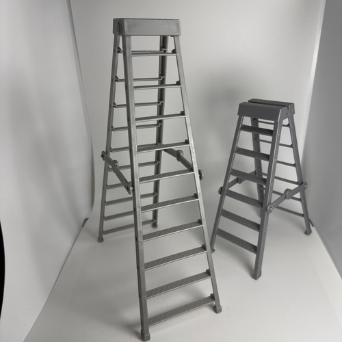 Wwe silver ladder - wwe, wrestling