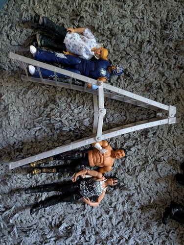 Wwe summerslam ladder match - wwe,