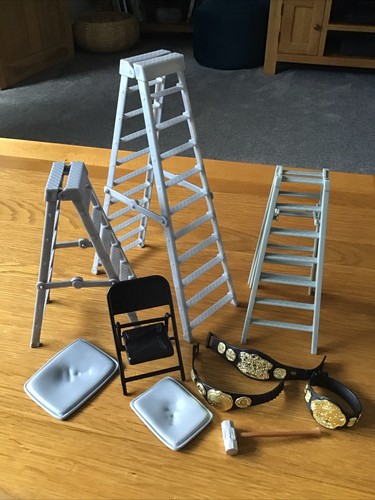 Wwe action figure - wwe, accessories